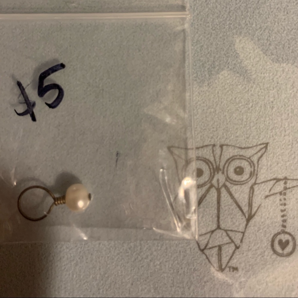 Origami Owl Dangle